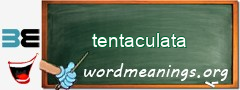 WordMeaning blackboard for tentaculata